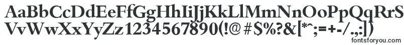 BambergserialBold-Schriftart – Yandex-Schriften