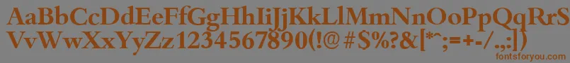 BambergserialBold Font – Brown Fonts on Gray Background