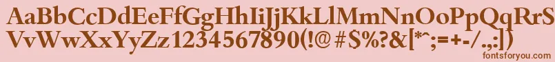 BambergserialBold Font – Brown Fonts on Pink Background