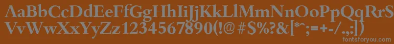 フォントBambergserialBold – 茶色の背景に灰色の文字