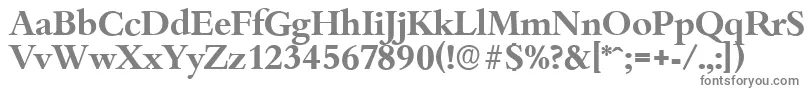 BambergserialBold Font – Gray Fonts on White Background