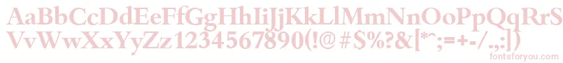 BambergserialBold Font – Pink Fonts