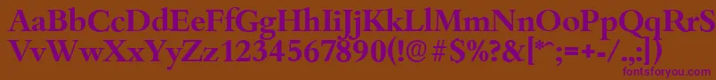 BambergserialBold Font – Purple Fonts on Brown Background