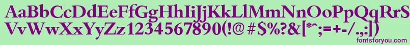 BambergserialBold Font – Purple Fonts on Green Background