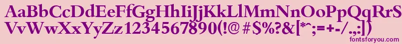 BambergserialBold Font – Purple Fonts on Pink Background