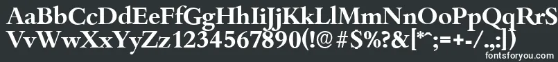 BambergserialBold Font – White Fonts
