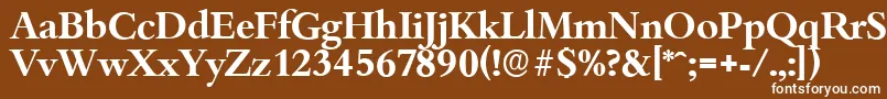 フォントBambergserialBold – 茶色の背景に白い文字