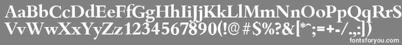 フォントBambergserialBold – 灰色の背景に白い文字