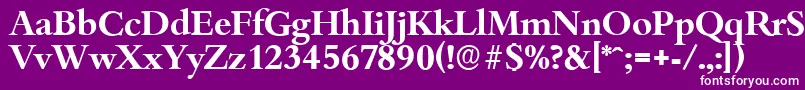 フォントBambergserialBold – 紫の背景に白い文字