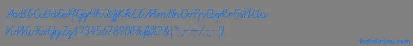 フォントGruenewaldVa1k – 灰色の背景に青い文字