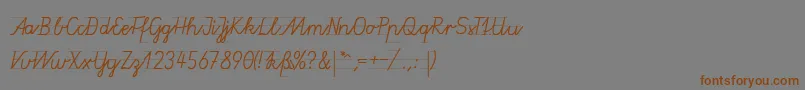 GruenewaldVa1k Font – Brown Fonts on Gray Background