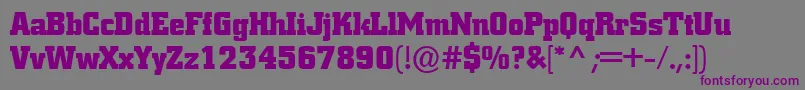 Шрифт BorghsNormal – фиолетовые шрифты на сером фоне