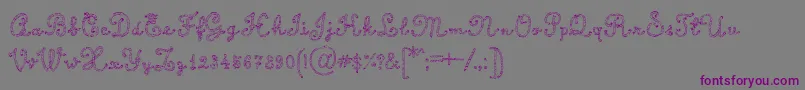 CalligraphyRope Font – Purple Fonts on Gray Background
