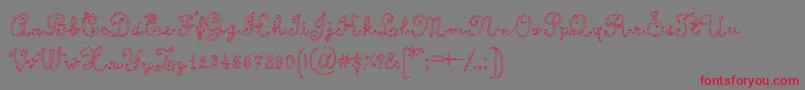 CalligraphyRope Font – Red Fonts on Gray Background