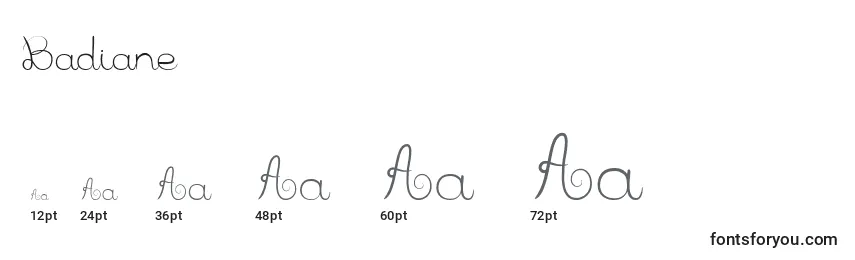 Badiane Font Sizes