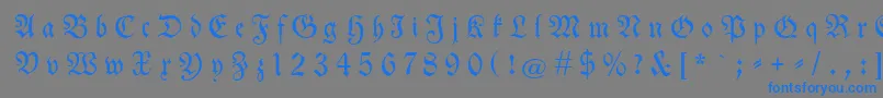 Neuetheuerdankfrakturgesperrtunz1a Font – Blue Fonts on Gray Background