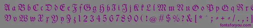 Neuetheuerdankfrakturgesperrtunz1a-fontti – violetit fontit harmaalla taustalla