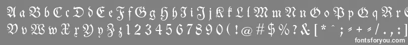 Más sobre la fuente Neuetheuerdankfrakturgesperrtunz1a fuente Neuetheuerdankfrakturgesperrtunz1a – Fuentes Blancas Sobre Fondo Gris