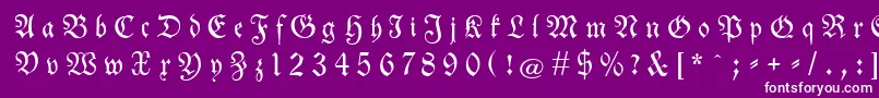 Neuetheuerdankfrakturgesperrtunz1a Font – White Fonts on Purple Background