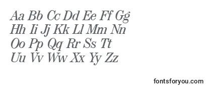 MaptypeItalic Font