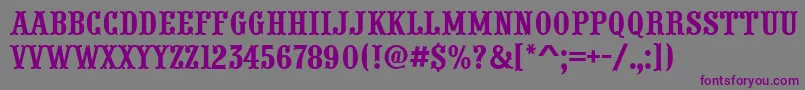 PresentumnrRegular Font – Purple Fonts on Gray Background