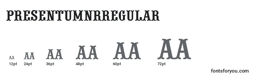 Размеры шрифта PresentumnrRegular
