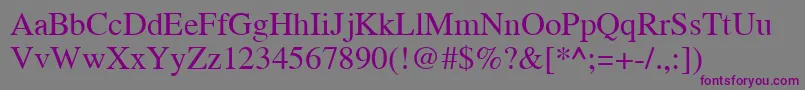 Cyrillictimes Font – Purple Fonts on Gray Background