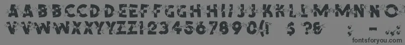 ShrapnelRegular Font – Black Fonts on Gray Background