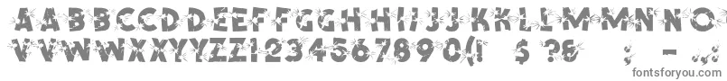 ShrapnelRegular-Schriftart – Graue Schriften auf weißem Hintergrund