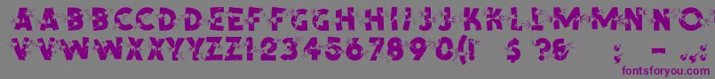 Шрифт ShrapnelRegular – фиолетовые шрифты на сером фоне