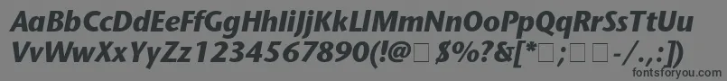 StoneSansBolditalic Font – Black Fonts on Gray Background