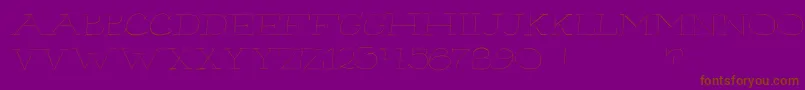 Hairliner-Schriftart – Braune Schriften auf violettem Hintergrund