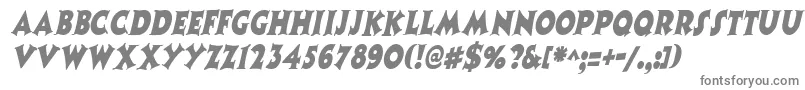 CoasternarrowItalic Font – Gray Fonts on White Background