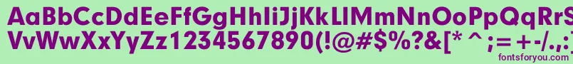 GeographyBlack Font – Purple Fonts on Green Background