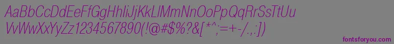 PragmaticaCondensedExtralightOblique Font – Purple Fonts on Gray Background