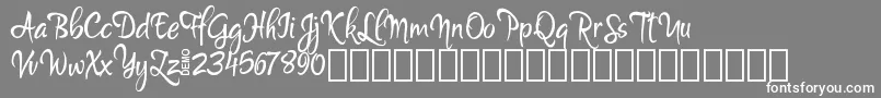 MartynDemo Font – White Fonts on Gray Background
