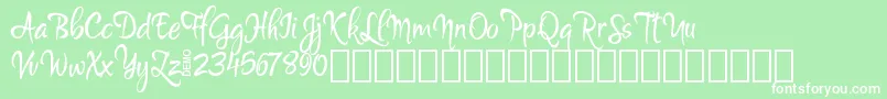 MartynDemo Font – White Fonts on Green Background