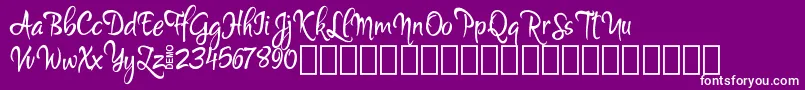 MartynDemo Font – White Fonts on Purple Background