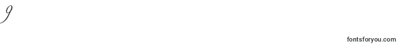 FreebooterScript Font – Fonts for Digit 9