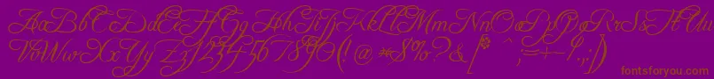 FreebooterScript-Schriftart – Braune Schriften auf violettem Hintergrund