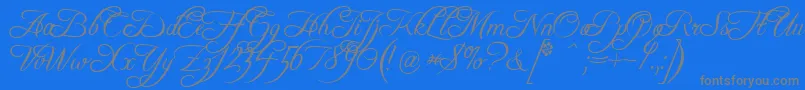 FreebooterScript Font – Gray Fonts on Blue Background