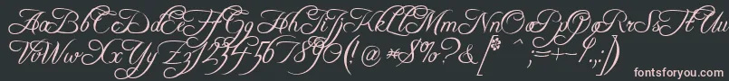 fuente FreebooterScript – Fuentes Rosadas Sobre Fondo Negro