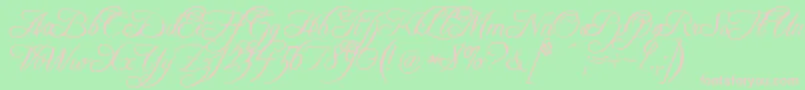 FreebooterScript Font – Pink Fonts on Green Background