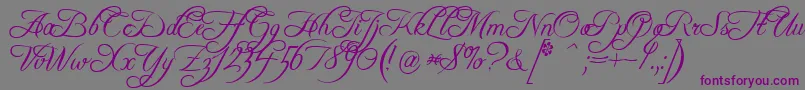 フォントFreebooterScript – 紫色のフォント、灰色の背景