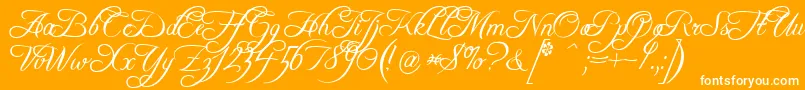 FreebooterScript Font – White Fonts on Orange Background