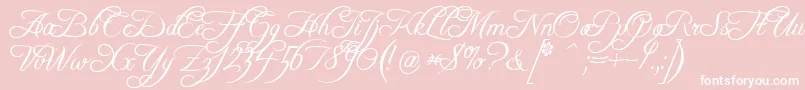 FreebooterScript Font – White Fonts on Pink Background