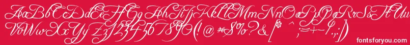 FreebooterScript Font – White Fonts on Red Background