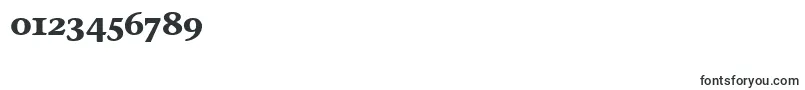 StoneInfOsItcTtBold Font – Fonts for Numbers and Digits