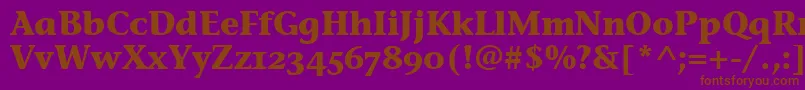 StoneInfOsItcTtBold Font – Brown Fonts on Purple Background