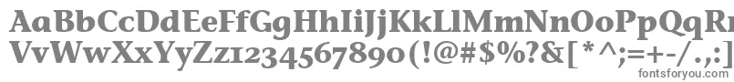 フォントStoneInfOsItcTtBold – 白い背景に灰色の文字